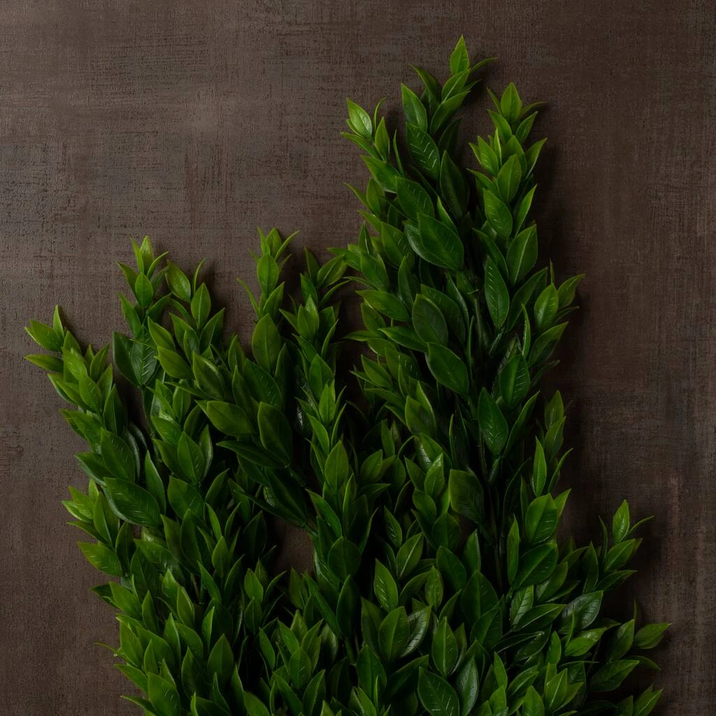 Best Sale 🤩 Hanging Ruscus Bush by Ashland® ✔️ 7 Best Sale 🤩 Hanging Ruscus Bush by Ashland® ✔️ - Image 5