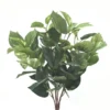 Best Pirce 😀 Green Pothos Bush by Ashland® 🌟 -Outlet Yuletide Joy Store 10626988 1