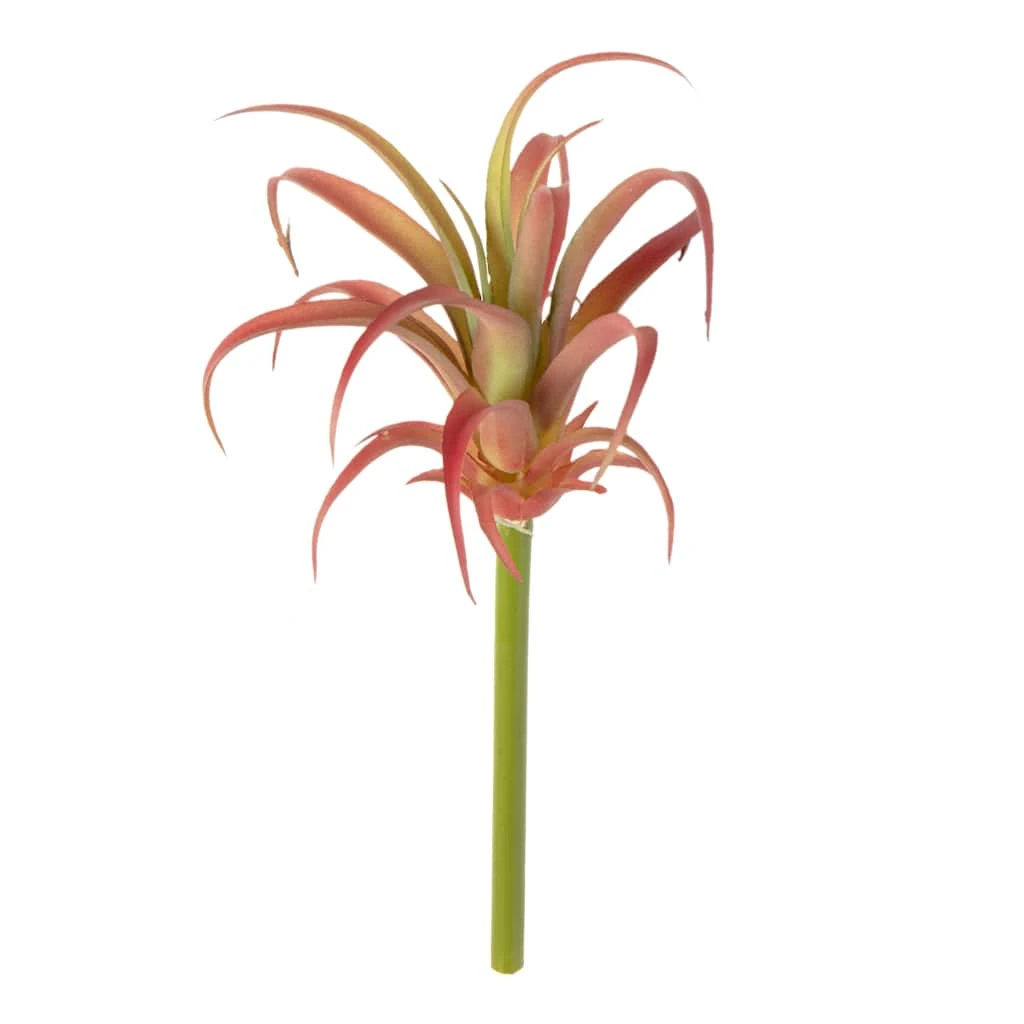 Budget 🎁 Assorted Succulent Pick by Ashland® ❤️ 3 Budget 🎁 Assorted Succulent Pick by Ashland® ❤️