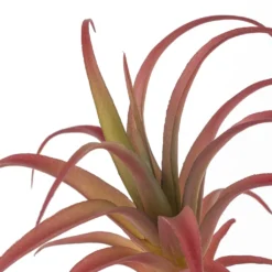 Discount 🧨 24 Pack: Assorted Succulent Pick by Ashland® ⭐ 7 Discount 🧨 24 Pack: Assorted Succulent Pick by Ashland® ⭐ -Outlet Yuletide Joy Store 10626994 20 1