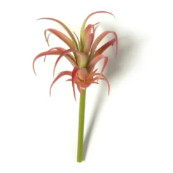 Discount 🧨 24 Pack: Assorted Succulent Pick by Ashland® ⭐