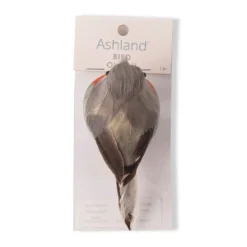 Cheap 🧨 Orange Breasted Feather Bird by Ashland® 🧨 7 Cheap 🧨 Orange Breasted Feather Bird by Ashland® 🧨 -Outlet Yuletide Joy Store 10627158 20