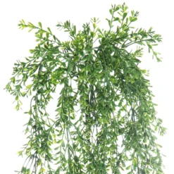 Budget 🛒 Green Boxwood Bush by Ashland® 👏 -Outlet Yuletide Joy Store 10627315 3