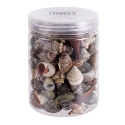 Top 10 ✨ Natural Small Sea Shell Mix by Ashland® ⭐ -Outlet Yuletide Joy Store 10627359 1