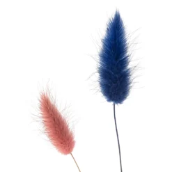 Flash Sale ✔️ Assorted Lagurus Bundle by Ashland® 🎉 7 Flash Sale ✔️ Assorted Lagurus Bundle by Ashland® 🎉 -Outlet Yuletide Joy Store 10628609 20