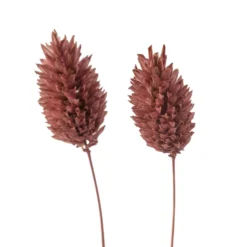 Top 10 ⌛ Coral Poa Grass Bunch by Ashland® 💯 -Outlet Yuletide Joy Store 10628612 20