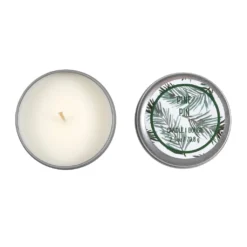 New 🌟 Assorted 2.5oz. Scented Candle in Tin Container by Ashland® ⭐ -Outlet Yuletide Joy Store 10637366 2 1