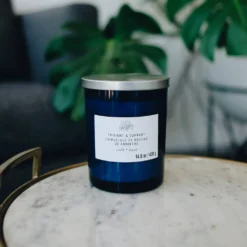 New 🔔 Twilight & Currant 2-Wick Jar Candle by Ashland® 🤩 -Outlet Yuletide Joy Store 10638398 2