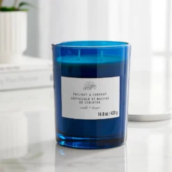 New 🔔 Twilight & Currant 2-Wick Jar Candle by Ashland® 🤩 -Outlet Yuletide Joy Store 10638398 20