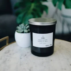 Coupon 🥰 Embers & Musk 2-Wick Jar Candle by Ashland® 💯 -Outlet Yuletide Joy Store 10638410 2