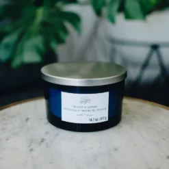 Budget ❤️ 8 Pack: Twilight & Currant 3-Wick Jar Candle by Ashland® 😉 -Outlet Yuletide Joy Store 10638416 2 1