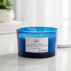 New 🔔 Twilight & Currant 3-Wick Jar Candle by Ashland® ✨ -Outlet Yuletide Joy Store 10638416 20