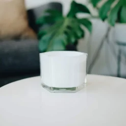 Discount 💯 Sugarcane & Vanilla 2-Wick Jar Candle by Ashland® ⭐ -Outlet Yuletide Joy Store 10638422 3