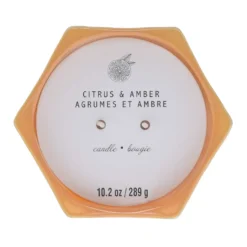 Best deal 🎁 Citrus & Amber 2-Wick Jar Candle by Ashland® ⌛