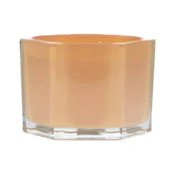 Best deal 🎁 Citrus & Amber 2-Wick Jar Candle by Ashland® ⌛ -Outlet Yuletide Joy Store 10638423 4