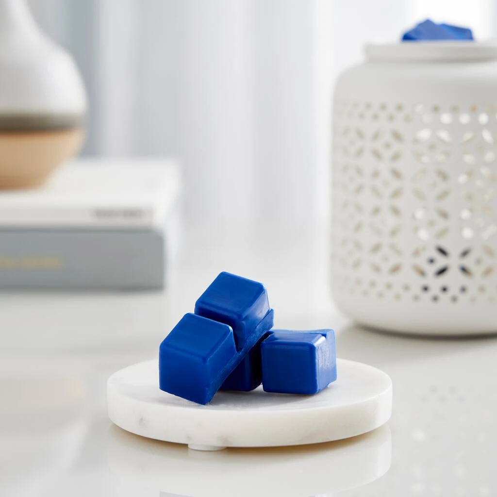 Best Sale ⭐ Twilight & Currant Wax Melts by Ashland® ⌛ 4 Best Sale ⭐ Twilight & Currant Wax Melts by Ashland® ⌛ - Image 2