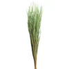 Cheapest ⌛ 8 Pack: Green Magnolia Flax Grass Bundle by Ashland® ⭐