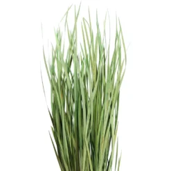 Cheapest ⌛ 8 Pack: Green Magnolia Flax Grass Bundle by Ashland® ⭐ -Outlet Yuletide Joy Store 10646374 2