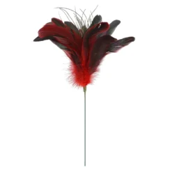 Wholesale 😍 Red Peacock Feather Pick by Ashland® 💯