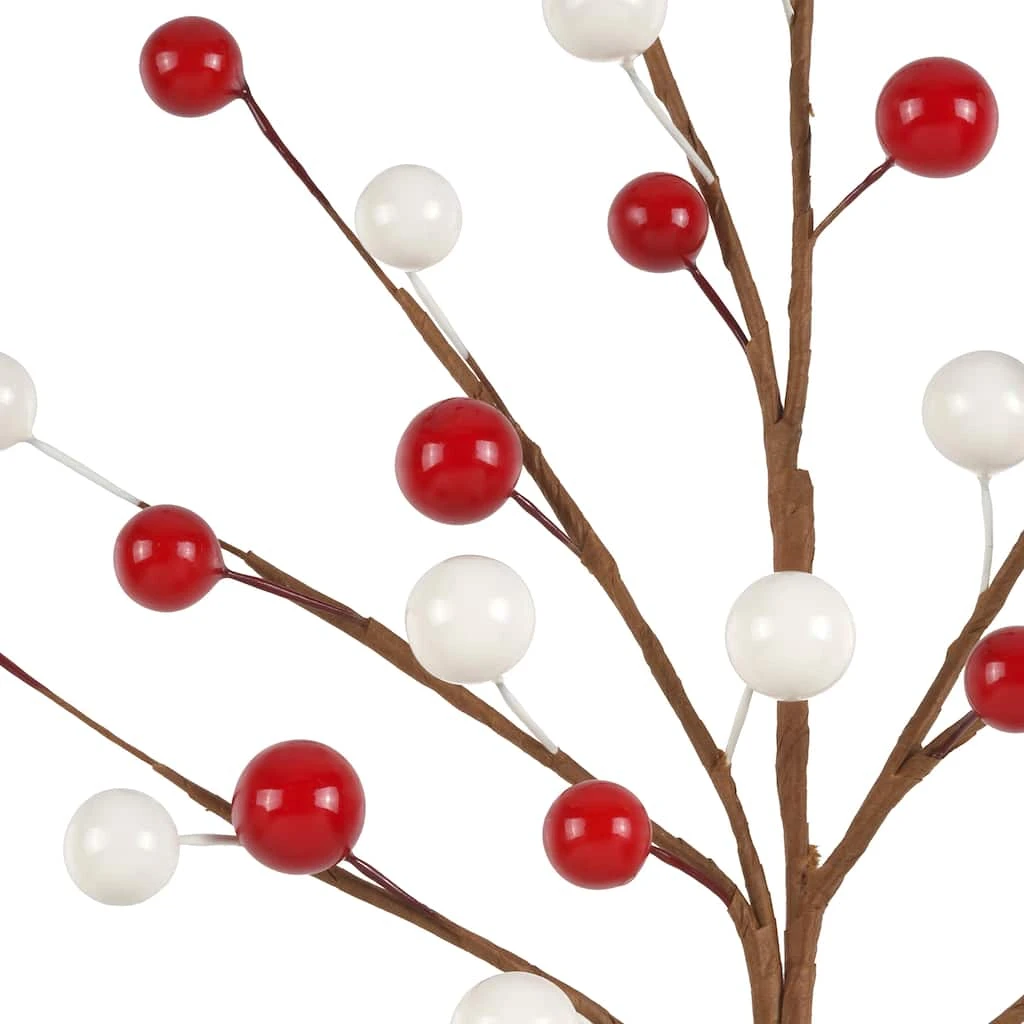 Buy β Red & White Berry Pick by Ashland® π 4 Buy β Red & White Berry Pick by Ashland® π - Image 2