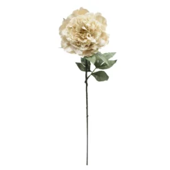 Deals ❤️ Cream Peony Stem by Ashland® ✔️