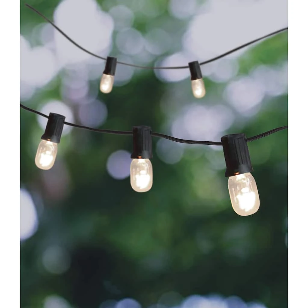 Flash Sale ⭐ 20ct. Clear Mini Edison String Lights by Ashland® ❤️ 4 Flash Sale ⭐ 20ct. Clear Mini Edison String Lights by Ashland® ❤️ - Image 2