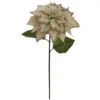 Promo π₯ Light Gold Glitter Poinsettia Stem by Ashland® π₯° 1 Promo π₯ Light Gold Glitter Poinsettia Stem by Ashland® π₯° -Outlet Yuletide Joy Store 10673369 1