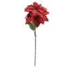 Flash Sale ✔️ Red Glitter Poinsettia Stem by Ashland® 🥰 2 Flash Sale ✔️ Red Glitter Poinsettia Stem by Ashland® 🥰 -Outlet Yuletide Joy Store 10673405 1