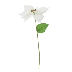 Best reviews of 🎉 White Poinsettia Stem by Ashland® ❤️