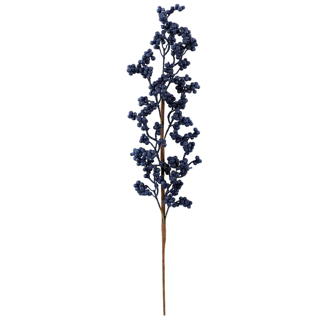 Best reviews of 🔔 Navy Glitter Berry Stem by Ashland® 🧨 3 Best reviews of 🔔 Navy Glitter Berry Stem by Ashland® 🧨