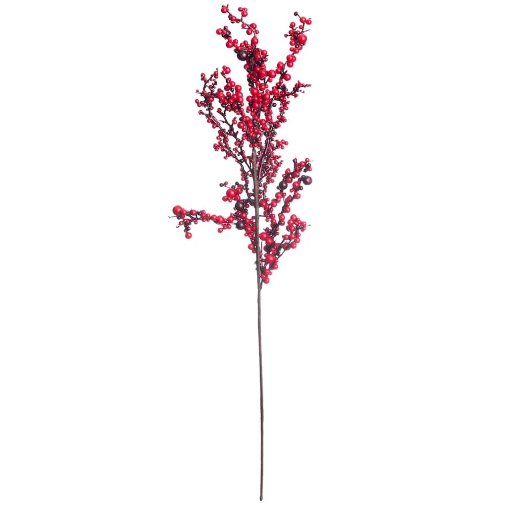 Best reviews of ⭐ Red Clustered Berry Stem by Ashland® 🎁 3 Best reviews of ⭐ Red Clustered Berry Stem by Ashland® 🎁