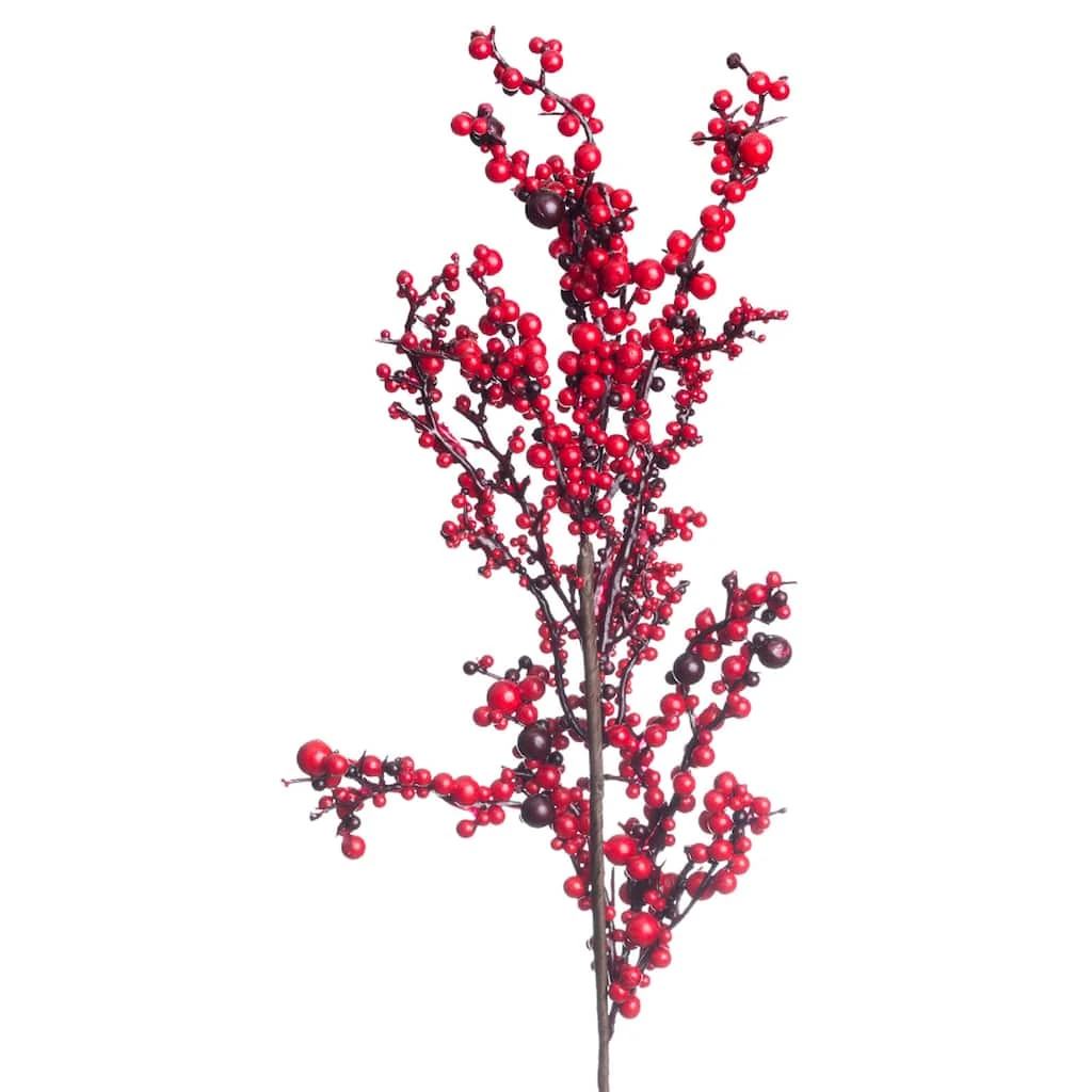 Best reviews of ⭐ Red Clustered Berry Stem by Ashland® 🎁 4 Best reviews of ⭐ Red Clustered Berry Stem by Ashland® 🎁 - Image 2
