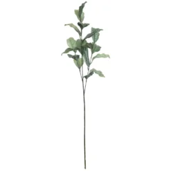 Best Pirce ✔️ Glitter Green Magnolia Leaf Stem by Ashland® 🎉