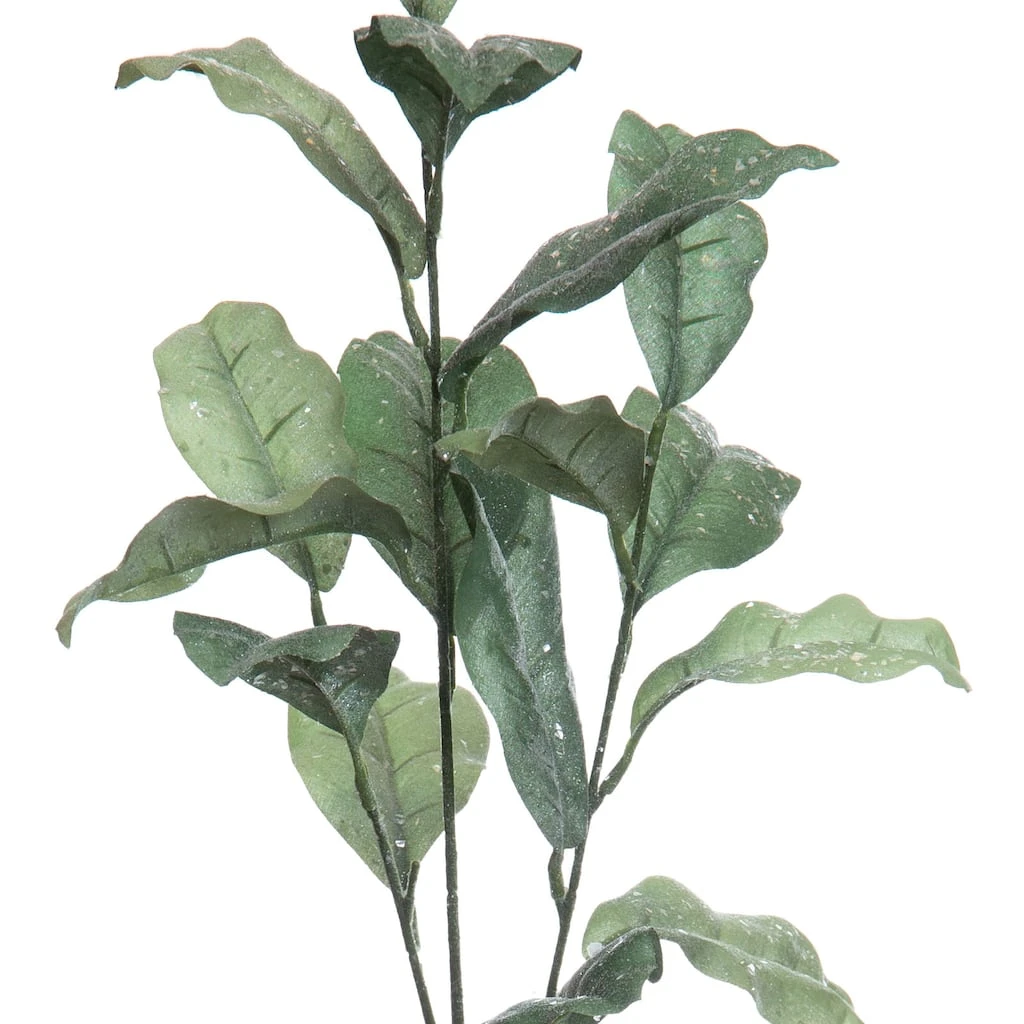 Best Pirce ✔️ Glitter Green Magnolia Leaf Stem by Ashland® 🎉 4 Best Pirce ✔️ Glitter Green Magnolia Leaf Stem by Ashland® 🎉 - Image 2