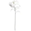 Buy 🎉 White Velvet Magnolia Leaves by Ashland® ⭐ -Outlet Yuletide Joy Store 10673930 1