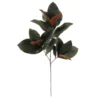 Deals 👍 Dark Green Magnolia Leaves Stem by Ashland® ⭐ 1 Deals 👍 Dark Green Magnolia Leaves Stem by Ashland® ⭐ -Outlet Yuletide Joy Store 10674564 1