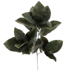 Deals 👍 Dark Green Magnolia Leaves Stem by Ashland® ⭐ -Outlet Yuletide Joy Store 10674564 2