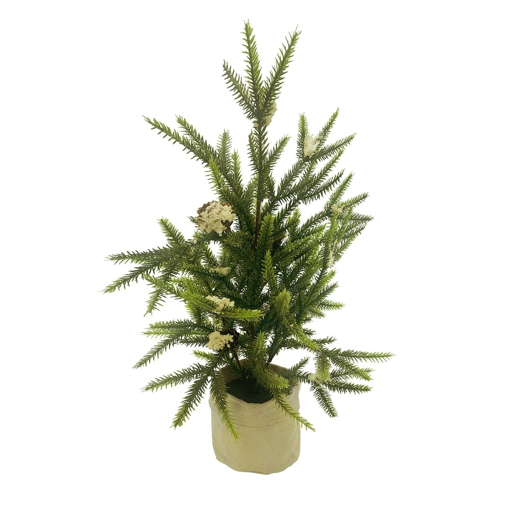 Best Pirce β Assorted 16" Potted Artificial Christmas Tree by Ashland® π 6 Best Pirce β Assorted 16" Potted Artificial Christmas Tree by Ashland® π - Image 4