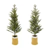 Hot Sale ⌛ Assorted 3ft. Pine Tree in Burlap Bag by Ashland® ⭐ -Outlet Yuletide Joy Store 10675201 1