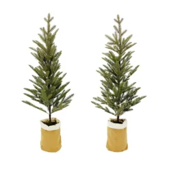 Hot Sale ⌛ Assorted 3ft. Pine Tree in Burlap Bag by Ashland® ⭐