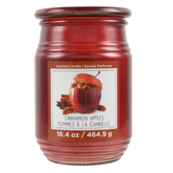 Promo ❤️ Cinnamon Apples Jar Candle by Ashland® 👍
