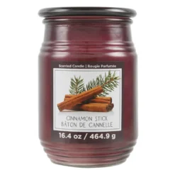 Discount 🥰 Cinnamon Stick Jar Candle by Ashland® ✔️