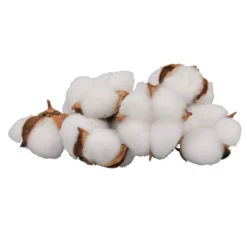 Best reviews of 🤩 White Cotton Pod Decorative Filler by Ashland® 🔥 -Outlet Yuletide Joy Store 10675976 3