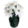 Best Sale 😍 White Potted Poinsettia with Green Foil by Ashland® ⌛ -Outlet Yuletide Joy Store 10676008 1