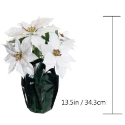Best Sale 😍 White Potted Poinsettia with Green Foil by Ashland® ⌛ -Outlet Yuletide Joy Store 10676008 3