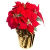 Wholesale 🥰 Red Velvet Potted Poinsettia with Gold Foil by Ashland® 🧨 -Outlet Yuletide Joy Store 10676015 1