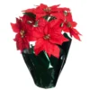 Top 10 🧨 Red Potted Poinsettia with Green Foil by Ashland® 🔥 2 Top 10 🧨 Red Potted Poinsettia with Green Foil by Ashland® 🔥 -Outlet Yuletide Joy Store 10676022 1
