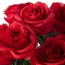 Promo ⭐ 12 Pack: Red Rose Bush by Ashland® ⭐ -Outlet Yuletide Joy Store 10676296 20