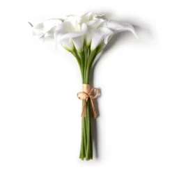 Coupon ❤️ White Calla Lily Bundle by Ashland® ✔️ -Outlet Yuletide Joy Store 10676315 21