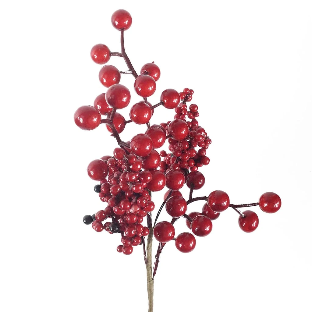 Best deal ⭐ Red Berry Pick by Ashland® ✔️ 4 Best deal ⭐ Red Berry Pick by Ashland® ✔️ - Image 2